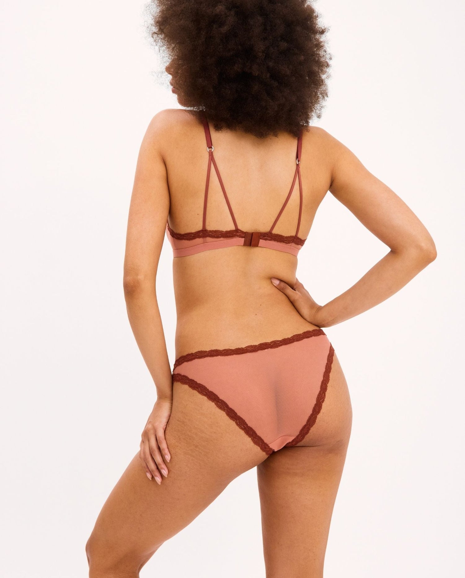 Mesh Lace Trim Bikini Briefs Blush