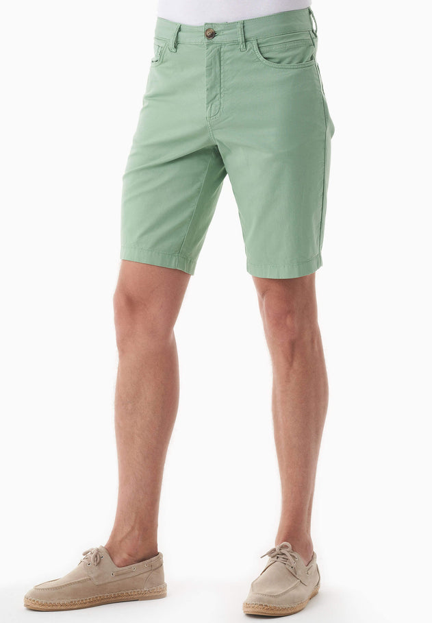 Men's Regular Fit Organic Cotton Shorts Matcha Green