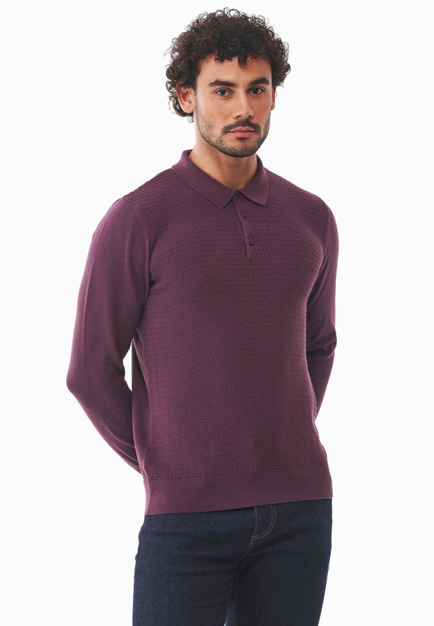 Men's Textured Knit Polo Collar Sweater Dark Fig