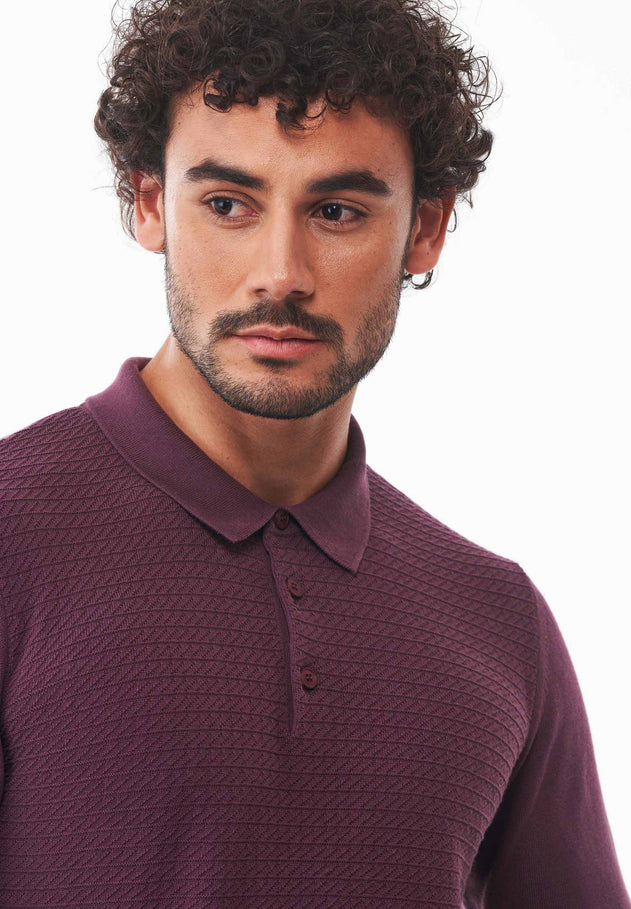 Men's Textured Knit Polo Collar Sweater Dark Fig