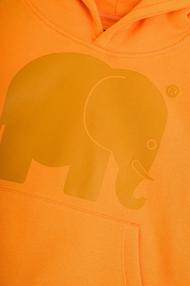 Kids Organic Classic Hoodie Honey