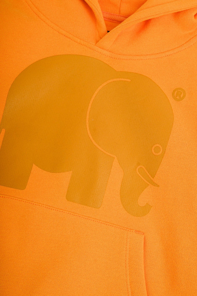 Kids Organic Classic Hoodie Honey