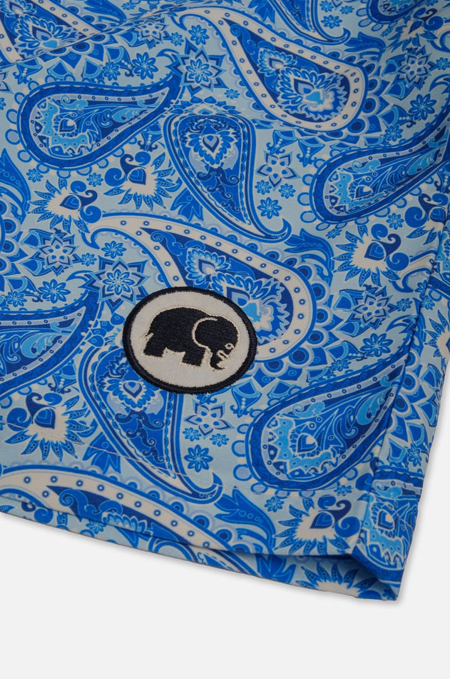 Breeze Paisley Swim Trunks Green