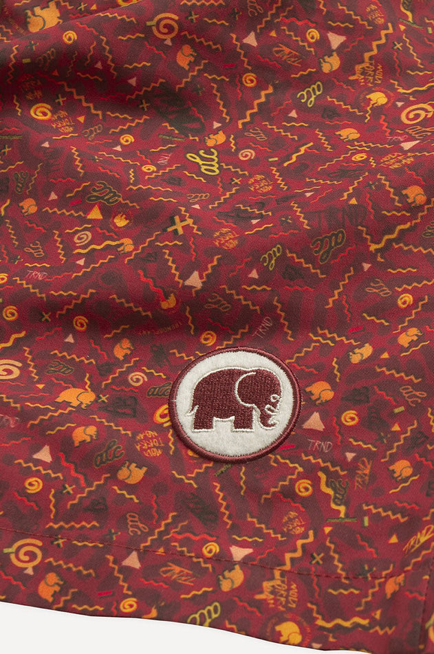 Dogtown Zwemshort Rood