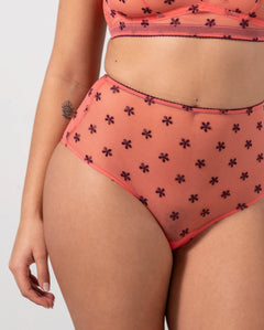 Mesh Highwaist Briefs Coral/Cherry