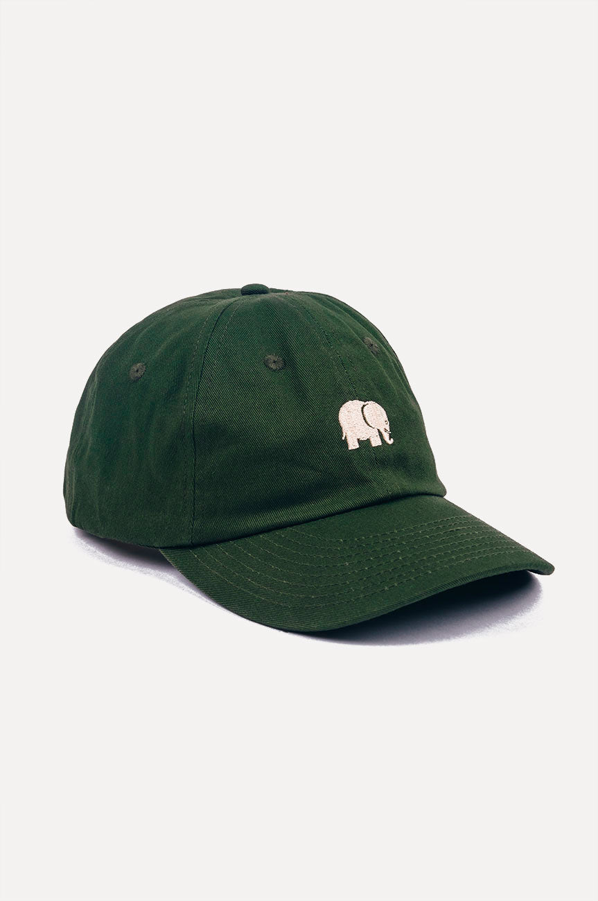 Logo Dad Cap Groen