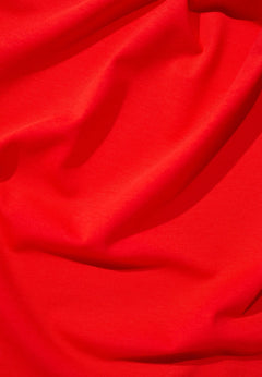 284933233.webp