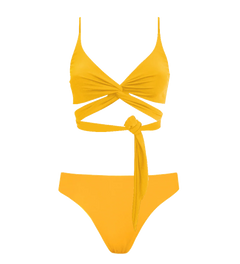 303084457.webp