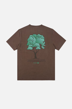 Pontido Pigment T-Shirt Chestnut