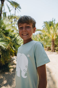 Kinder Organic Classic T-shirt Mint Green