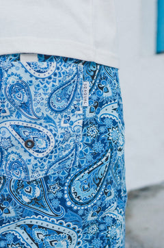 Breeze Paisley Swim Trunks Green