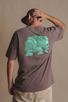 Pontido Pigment T-Shirt Chestnut