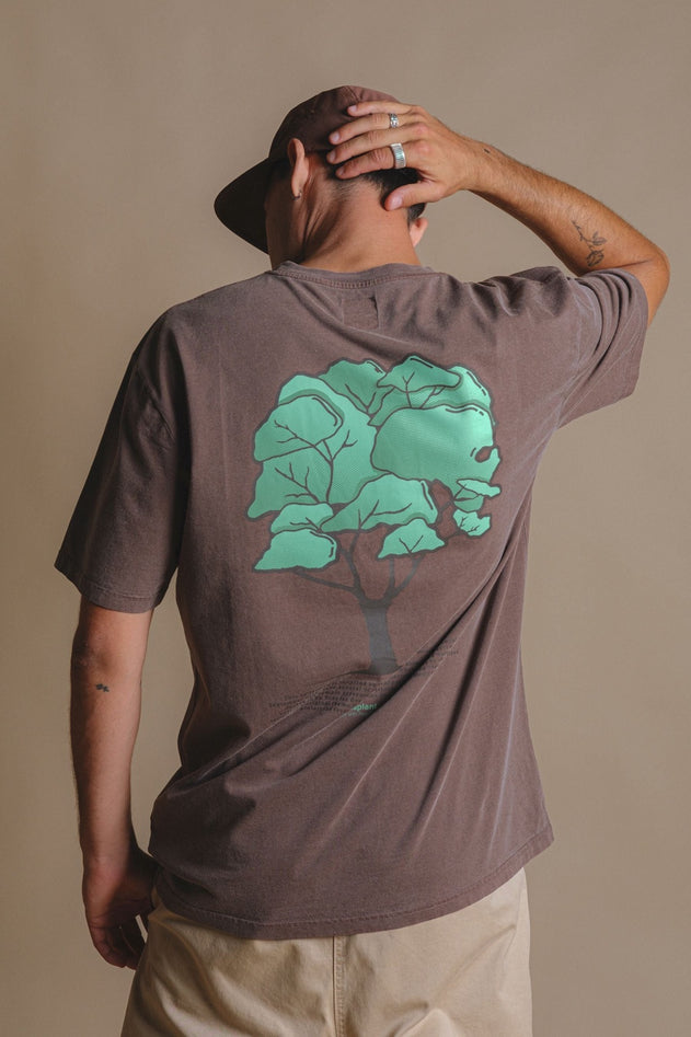 Pontido Pigment T-Shirt Chestnut