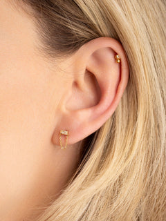 Barnabe_champ_AprilPlease-eshop.jpg?v=1762254185