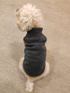 Dog Cashmere Sweater Anthracite