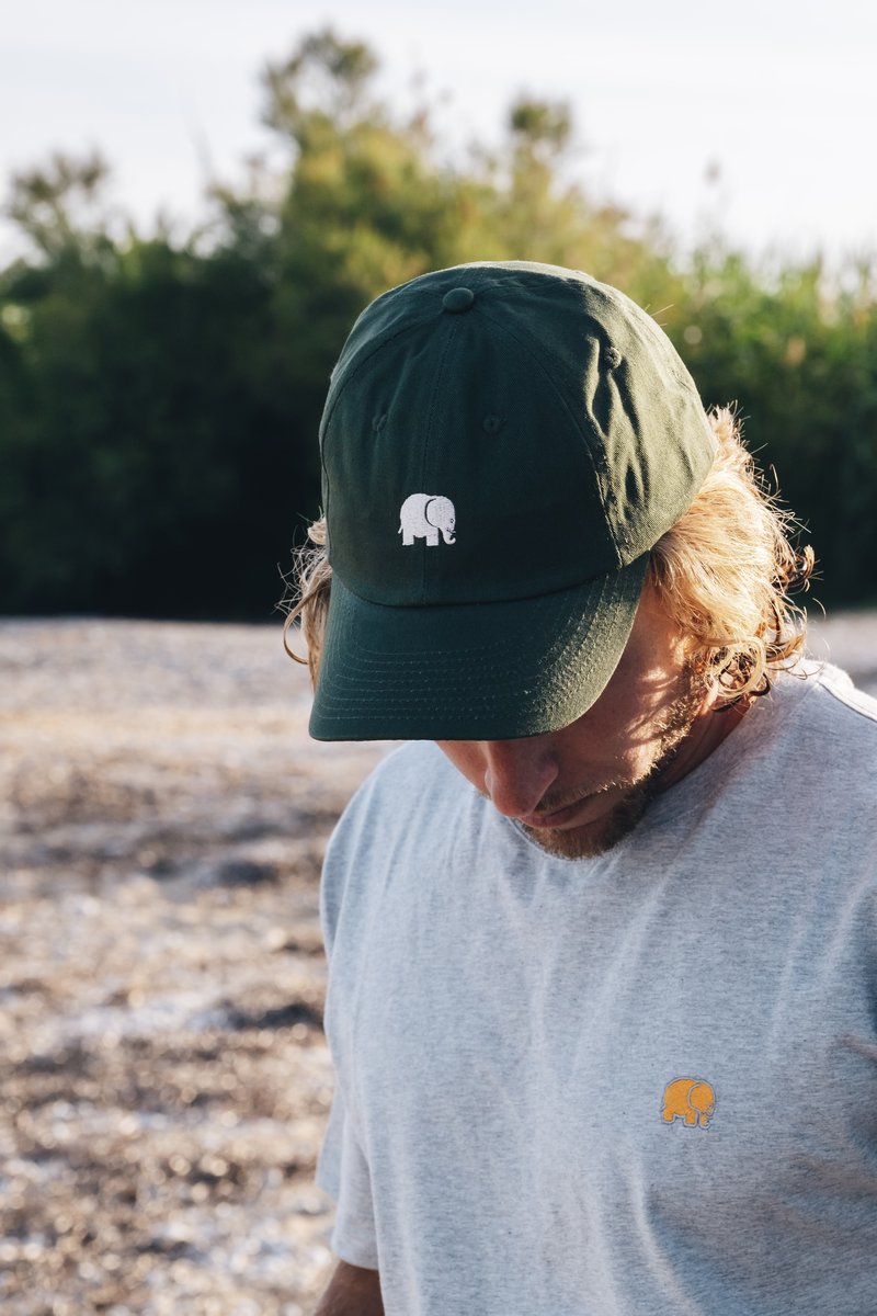Logo Dad Cap Groen