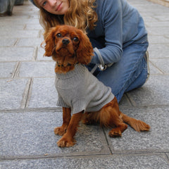 Dog Cashmere Sweater Grey