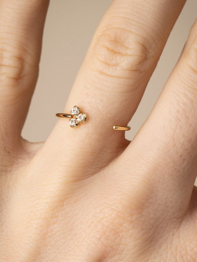 Francois_champagne_AprilPlease-eshop_095dcc95-7bac-4d1a-92c3-c810deb79591.jpg?v=1748367827