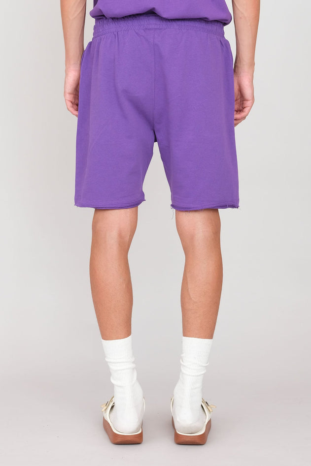 MBK100VIOLA4_327e27d5-2ce6-4bb3-8080-d19678af1a48.jpg?v=1761733704