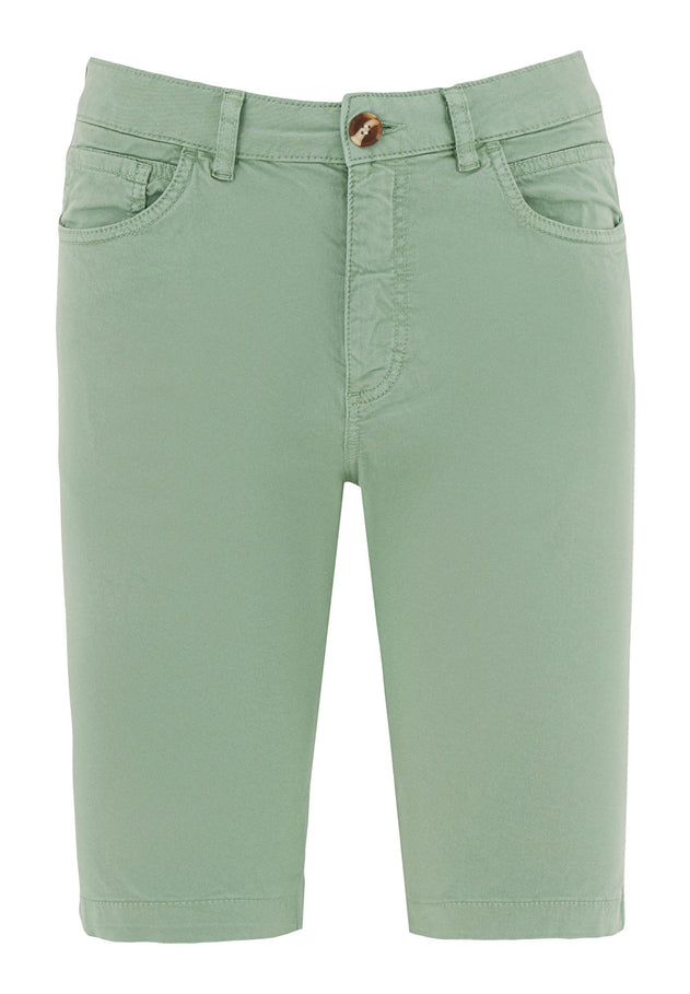 Heren Regular fit Short Matcha Green