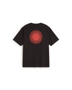 MTS00518-3_6f672374-9774-4d27-a301-e7c744a4d8cb.jpg?v=1774971053