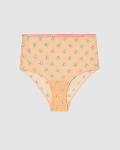 Mesh Highwaist Briefs Peach/Turquoise