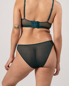 Mesh Bikini Briefs Pine Green