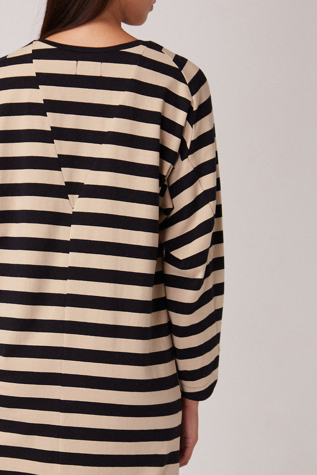 Pasu Dress Beige / Black Stripes