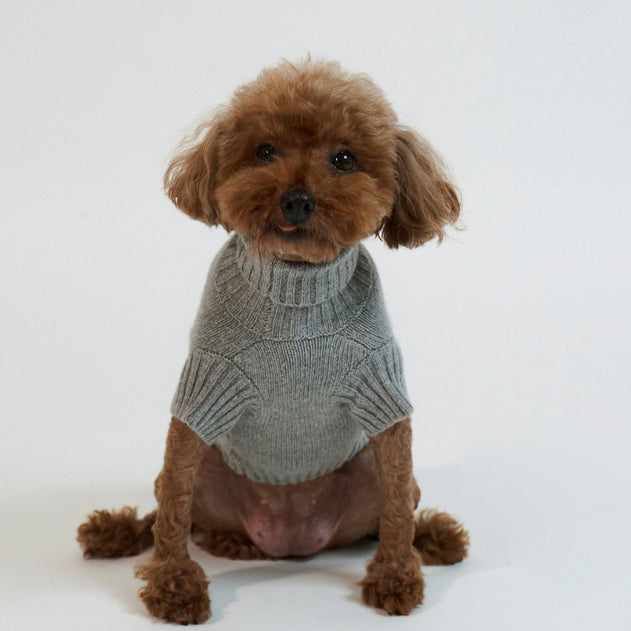 Dog Cashmere Sweater Grey