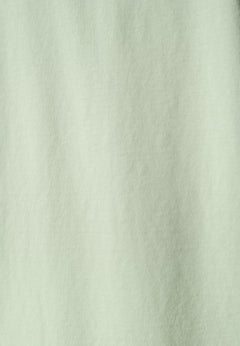 Tessa V-hals T-shirt Foam Green