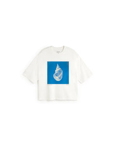 WTS00488-1_0357dadf-4cbc-4959-a386-b9d858d2600c.jpg?v=1774971153