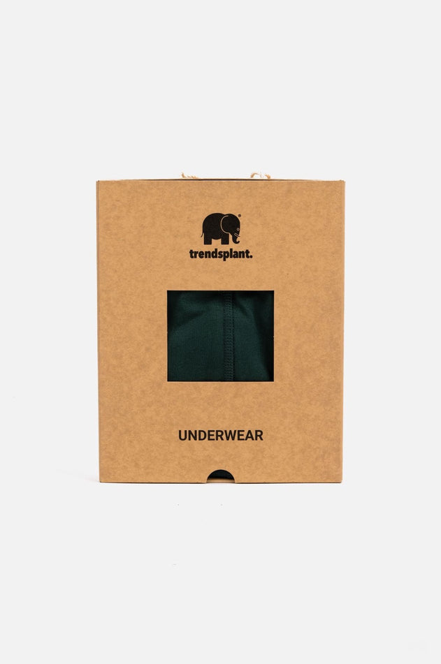 Organic Essential Boxer Briefs Color Block