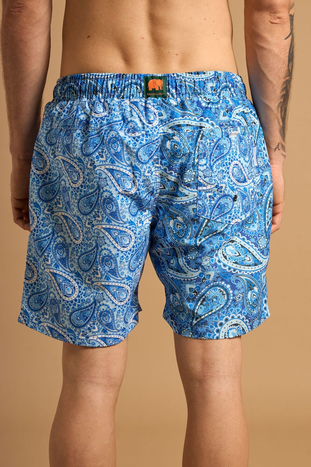 Breeze Paisley Swim Trunks Green