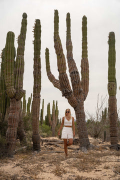 Donna Ribbed Crop Top White