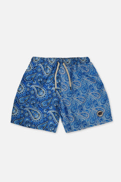 Breeze Paisley Swim Trunks Green