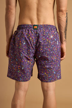 Dogtown Swim Trunks Purple