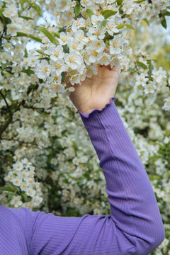 Rib Rollneck Vivid Lavender