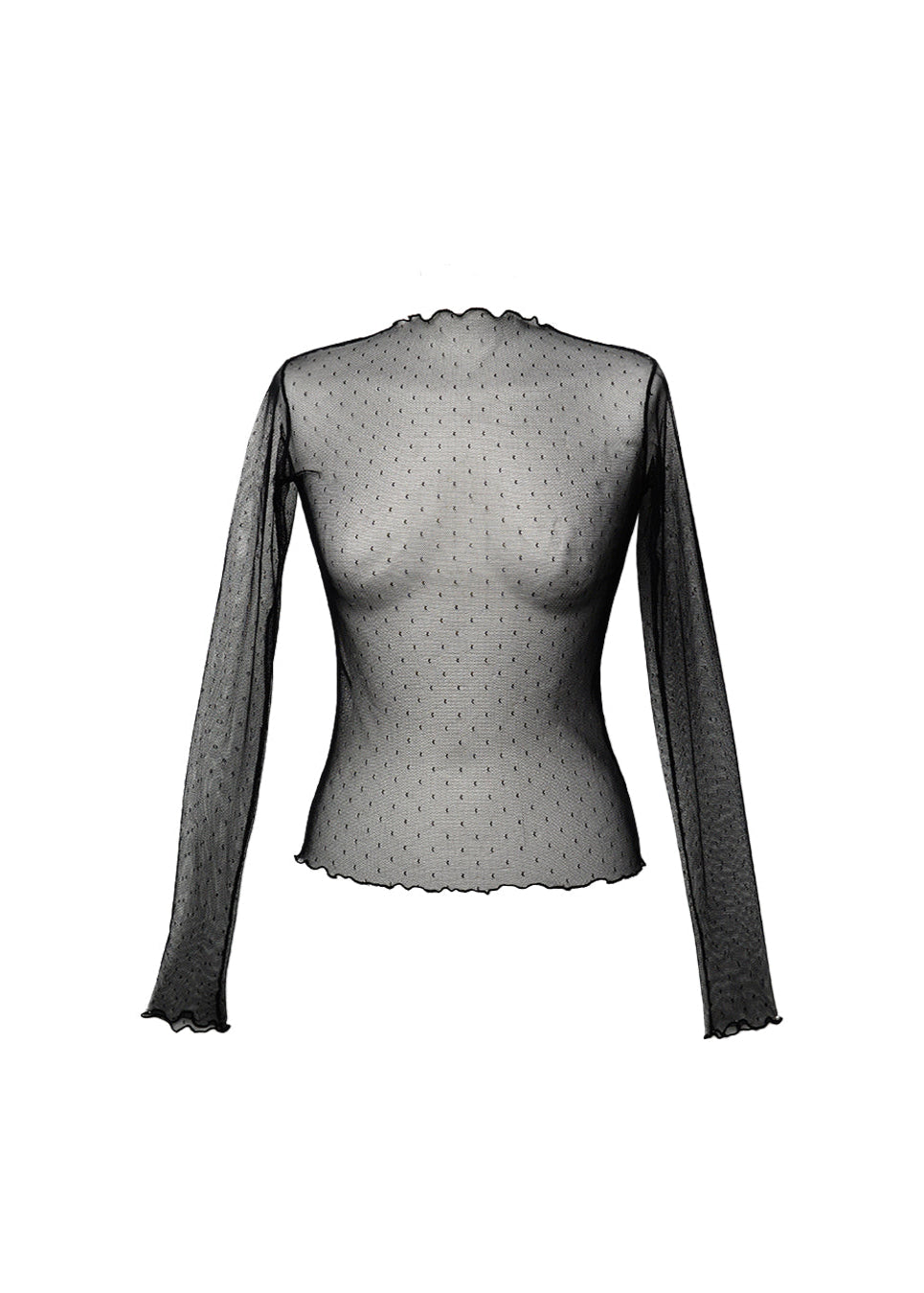 Tasha Sheer Long Sleeve Top Black