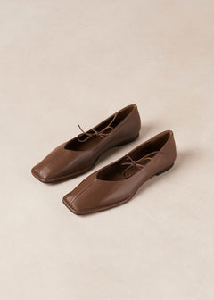 Sway Leather Ballet Flats Chestnut Brown