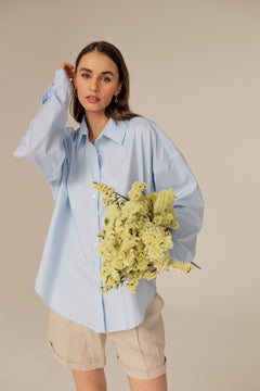 Klassiek Blauw Effen Overhemd