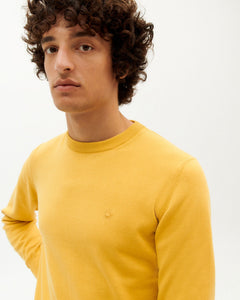 Orlando Knit Mustard