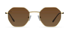 Endo Sunglasses Gold Kakao Brown