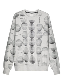 Sinkki Sweatshirt Grey