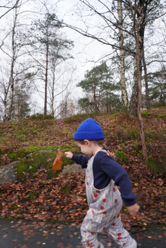 Kids' Winter Berry Overall Blue